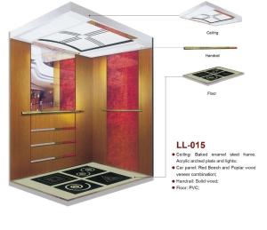 Passenger Lift Passenger Elevator for Home (LL-014)